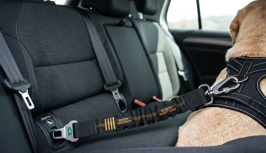 Detalle de un cinturón de seguridad ISOFIX para perro con zona elástica amortiguadora enganchado al asiento