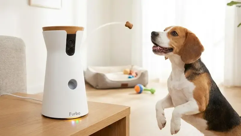 Perro saltando para atrapar una galleta lanzada por una cámara Furbo