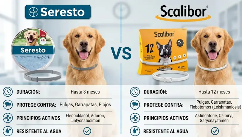 Seresto vs Scalibor: Comparativa real de duración y eficacia antiparasitaria (Guía 2026)